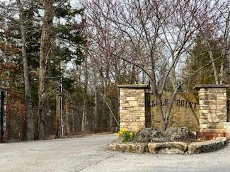 Lot 81 Eagles Point Green Cypress Ln, Shell Knob, MO 65747