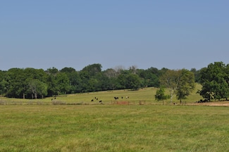 4697 N Farm Road 175, Springfield, MO 65803