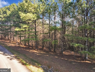 0 Foxpaw Leaf Ln Unit 10266047, Ellijay, GA 30536