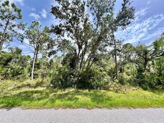 13377 Johannes Ave, Port Charlotte, FL 33953