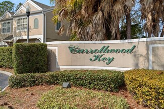 11336 Cayman Key Ave, Tampa, FL 33624