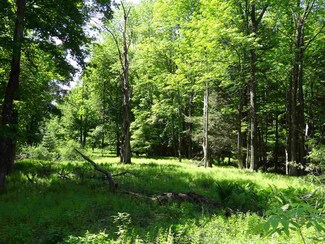 00 Hathaway Rd, White River Junction, VT 05001