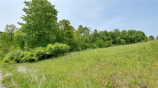 63580 Wintergreen Rd, Lore City, OH 43755