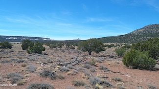 0 Windsor Valley Ranch Unit 254962, Concho, AZ 85924