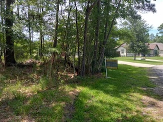 136 S Pine Harbour Dr, Coldspring, TX 77331