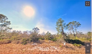 1048 Hackmatack St, Lake Placid, FL 33852