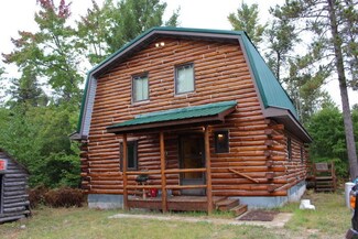 26882 W Lone Pine Rd, Trout Lake Township, MI