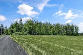 2020 163rd St NW, Lake Goodwin, WA 98271