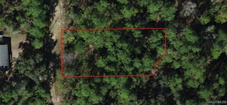 2795 N Dasher Point, Crystal River, FL 34428