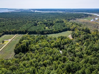 1194.6, Pantego, NC 27860
