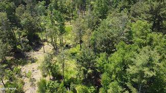 0 Crane Rd, Paupack Township, PA 18438