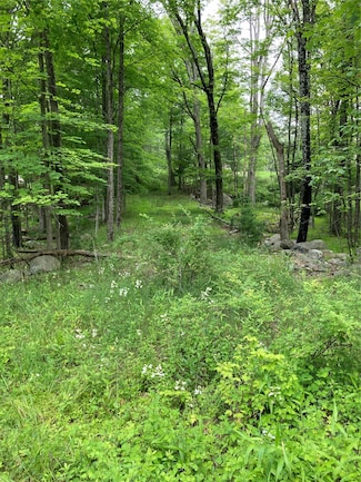 287 Church Rd, Shawangunk, NY 12566