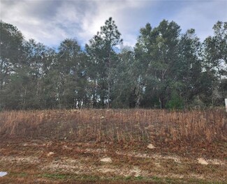 0 W Highway 27a Unit OM651142, Williston, FL 32696