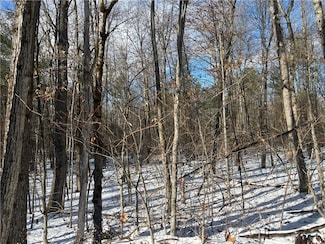 0 Stanley Roseboom Rd, Westford, NY 12155