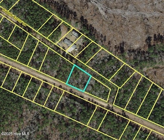 Lot 36 Fontana, Clarkton, NC 28433