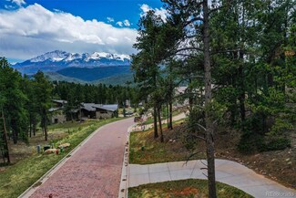 270 Thunder Ridge Dr Unit 3R, Woodland Park, CO 80863