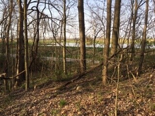 3178 W County Road 550 N, Petersburg, IN 47567