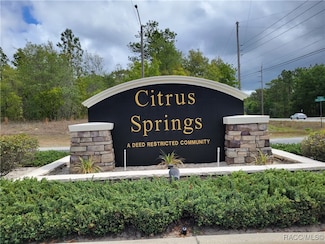 3930 W Fireside Ln, Citrus Springs, FL 34433
