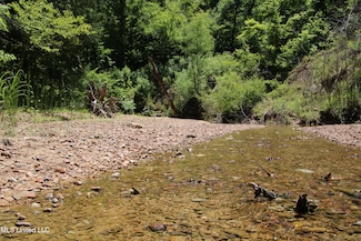0 Perry Creek Rd, Bentonia, MS 39194