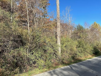 0 Back Creek Rd, Roanoke, VA 24014