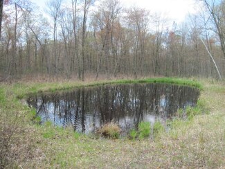 5 Ac 14th Dr, Adams, WI 53934