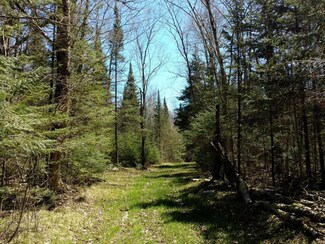 38 Acres W Hackett Rd, Prentice, WI 54556