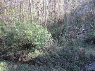 Lot 12 Churchill Bayou Rd, Santa Rosa Beach, FL 32459