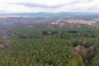 0 Foxpaw Leaf Ln Unit 7675161, Ellijay, GA 30536