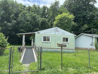 1021 Globe St, Kingsport, TN 37660