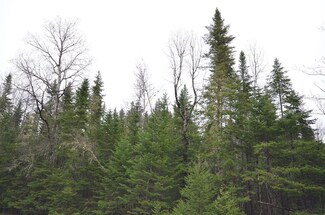 0 Averill Rd Unit 1304824, Prentiss Township T7 R3 Nbpp, ME 04487