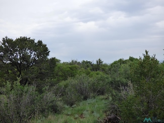 TBD Collier Ave, Raton, NM 87740