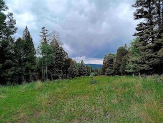 Lot 1220 Rainbow Overlook, Angel Fire, NM 87718