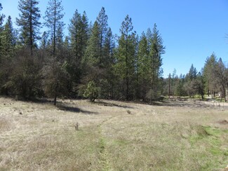 79 Black Oak Dr, Rail Road Flat, CA 95248