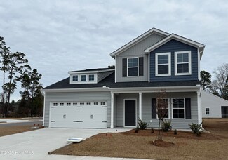 4301 Parsons Mill Dr Unit 195, Castle Hayne, NC 28429