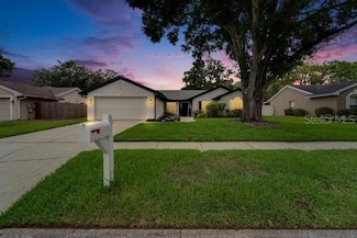 10412 Tara Dr, Riverview, FL 33578