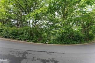 3 Lots Alpine Mountain Way, Pigeon Forge, TN 37863