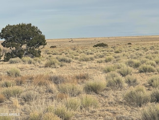107 & 108 Elk Valley Ranch -- Unit 107 &108, Saint Johns, AZ 85936