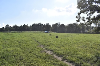 20298 Highway Vv, Licking, MO 65542