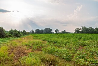 45+/- County Road 531, New Brockton, AL 36351