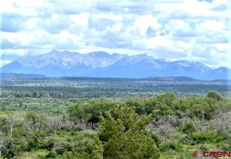 10 N Reserve Dr, Norwood, CO 81423