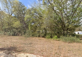 119 Smokey Ave, Interlachen, FL 32148