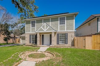 23202 Goodfellow Dr, Spring, TX 77373