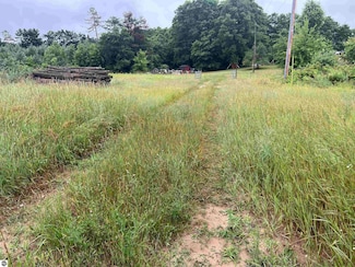 2494 W 18 Rd, Mesick, MI 49668