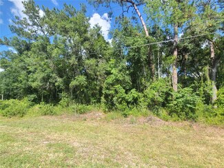 8356 Treiman Blvd, Webster, FL 33597