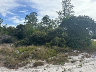 451 Harmon Ave, Lake Placid, FL 33852