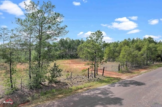 2573 County Road 222, Henderson, TX 75652