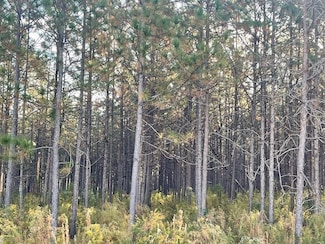 Unk Lambert Rs, Brookhaven, MS 39601