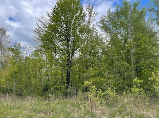 On Weinberger Rd Unit 30 Acres, Butternut, WI 54514