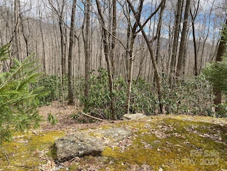 29 Wood Haven Ln Unit 209, Black Mountain, NC 28711