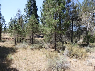 0 Widow Valley Rd Unit 20-3292, Lookout, CA 96054